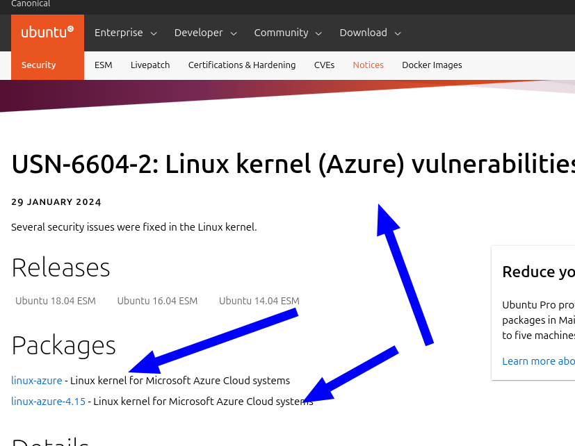 USN-6604-2: Linux kernel (Azure) vulnerabilities