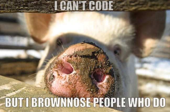 I can't code but I brownnose people who do