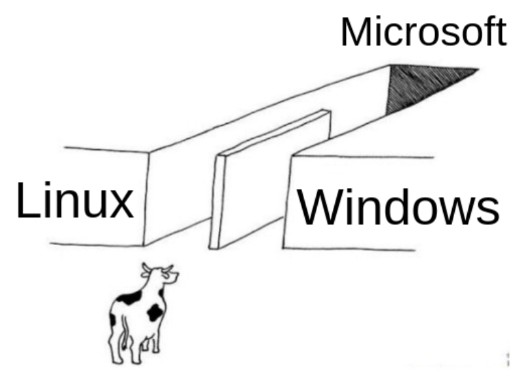 Windows, Linux, and Microsoft