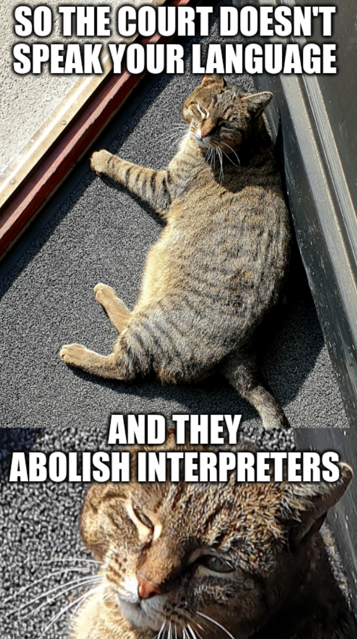 Angry hungarian cat will kill you: so the court doesn't speak your language and they abolish interpreters