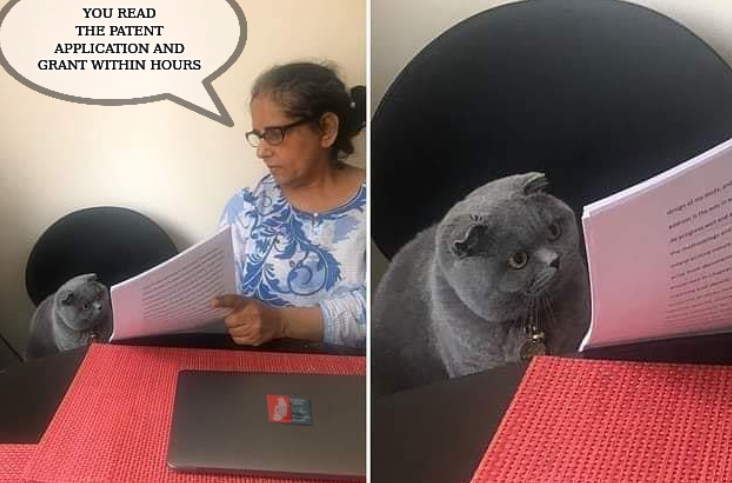 Woman showing paper to cat: You read the patent application and grant within hours