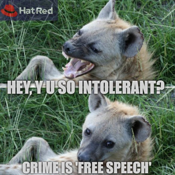 Hey, Y U so intolerant? IBM: crime is 'free speech'