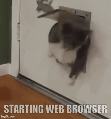 Starting Web browser; Starting Web browser; OOM-kill some other processes/programs; OOM-kill some other processes/programs