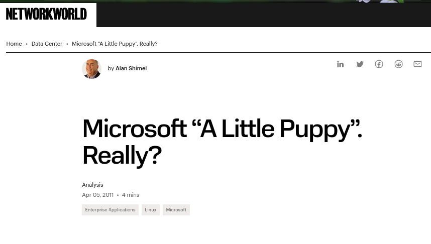 Microsoft “A Little Puppy”. Really?