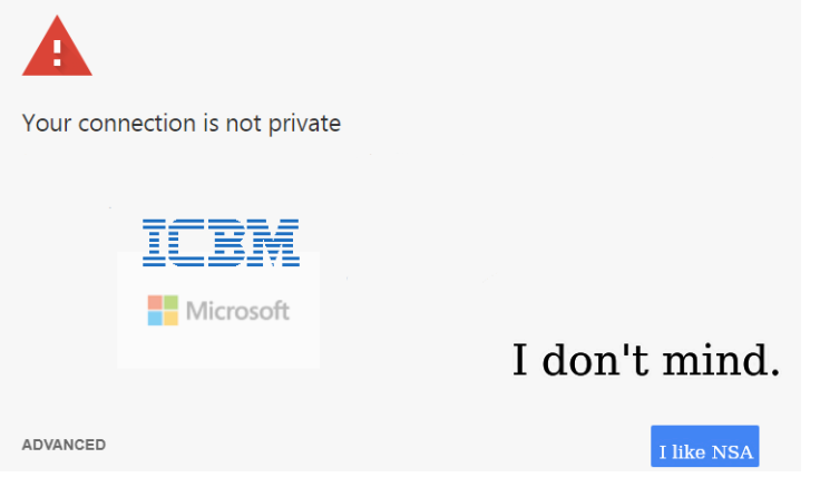 Your Connection Is Not Private. I don't mind. I like NSA.