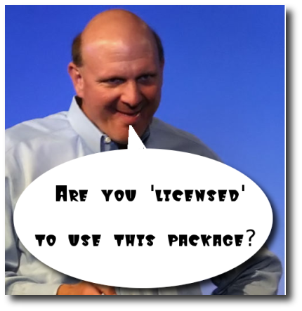 Steve Ballmer license