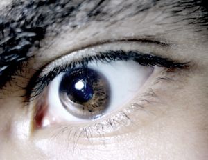 Macro eye