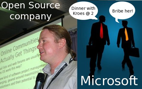 Brian Behlendorf against Microsoft