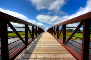 Wide angle bridge