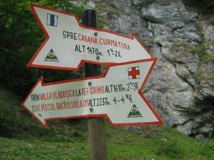 Route signs in piatra craiului