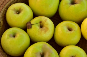 Apples in basket