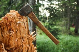 Axe in forest