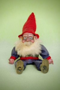 Gnome