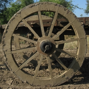 Cart wheel