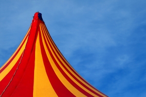 Circus