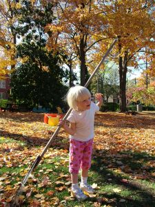 Raking leaves