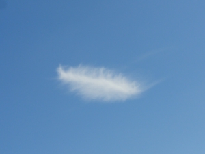 Featherlike cloud