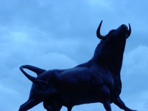 Bull