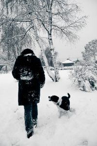 Winter in France