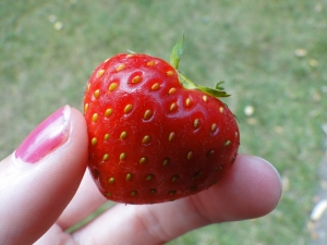 Strawberry