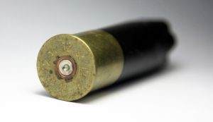 Shotgun bullet