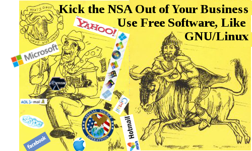 Kick the NSA