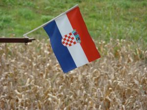 Croatian flag