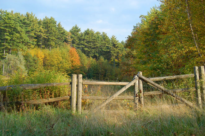 Fence