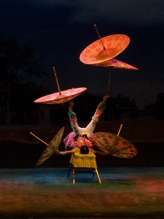 Umbrella spinner