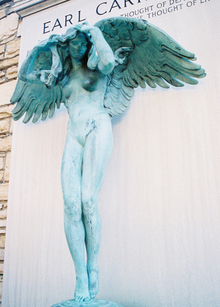 Weeping-angel