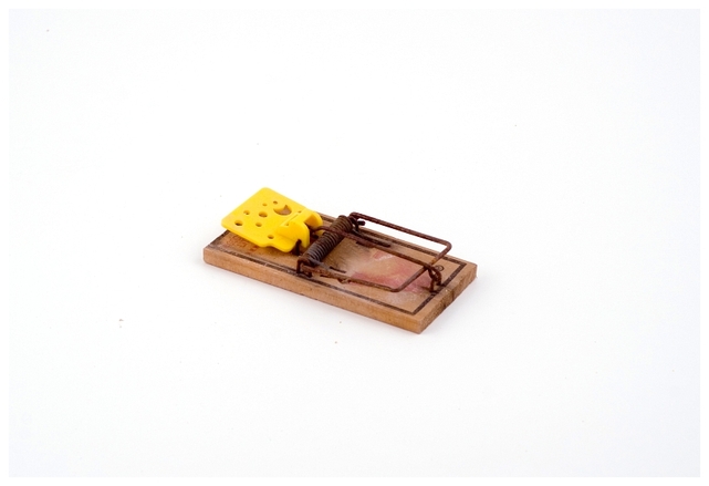 A mouse trap