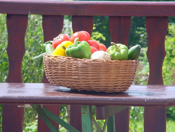 Basket of vegetables