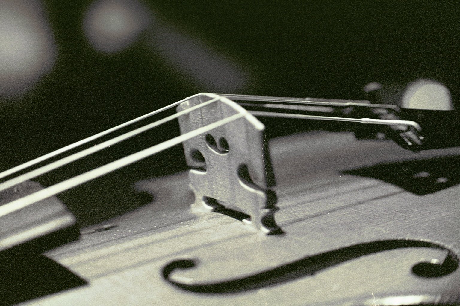 Violin