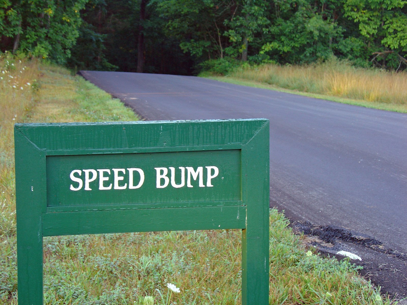 Speed Bump