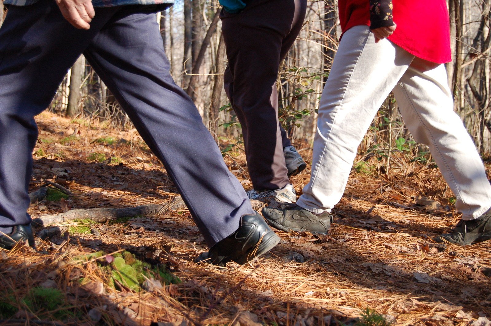 Walking feet