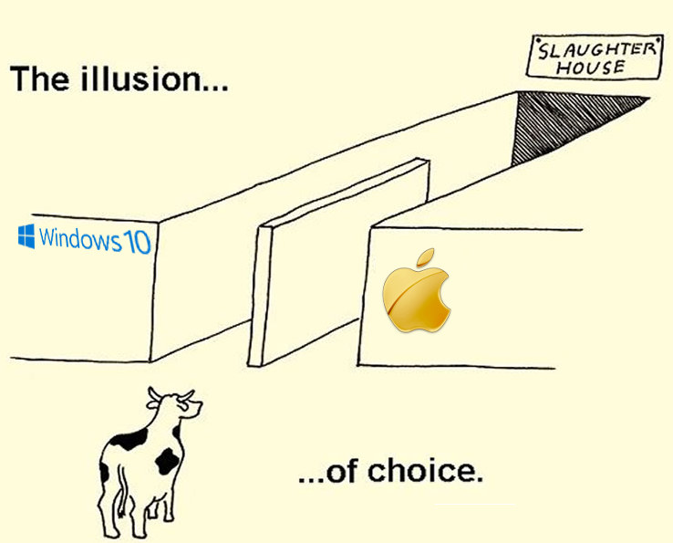 Apple and Microsoft