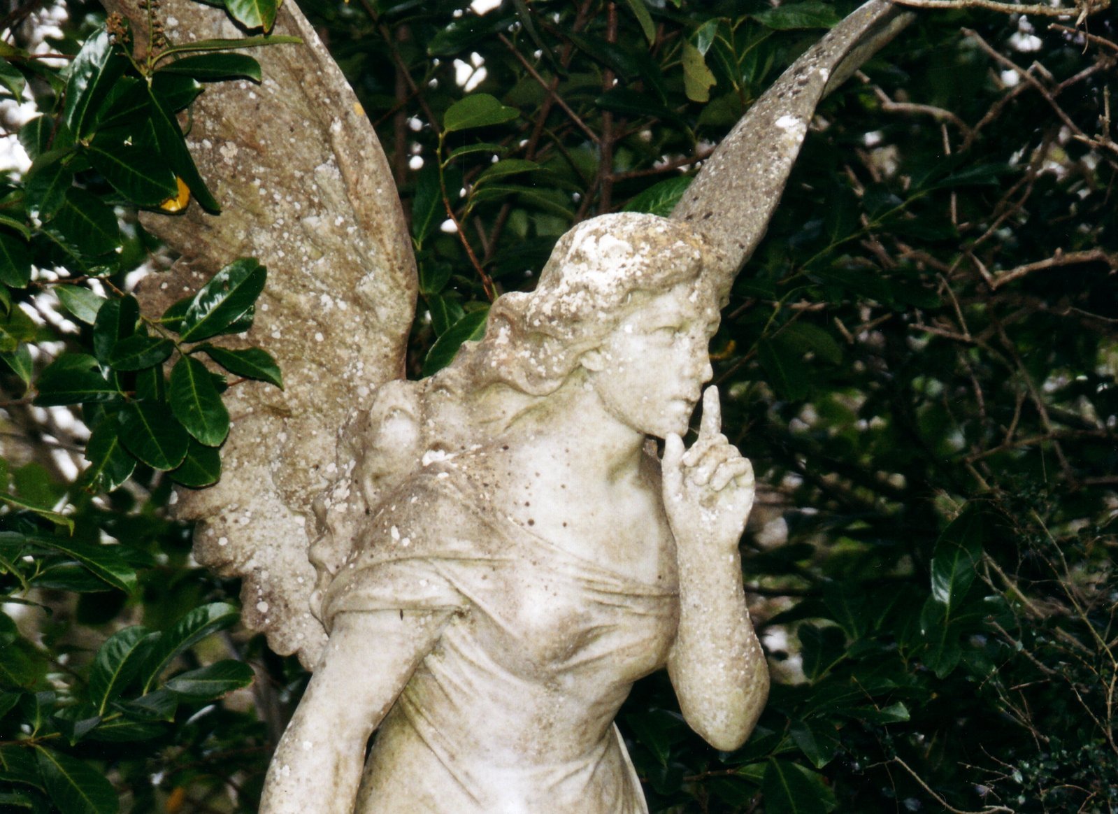 An angel in cemetery