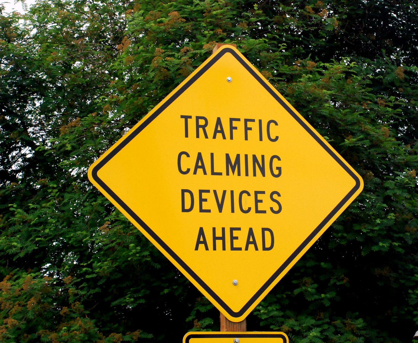 Traffic calming device