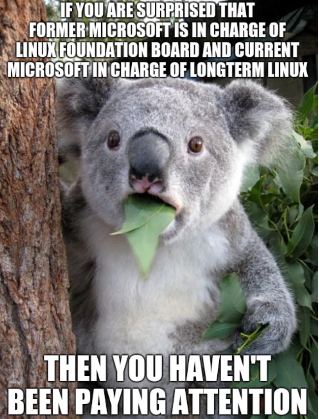 If you are surprised that former Microsoft is in charge of Linux Foundation Board and current Microsoft in charge of longterm Linux, then you haven't been paying attention
