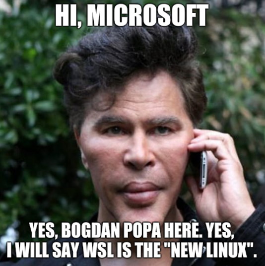 Hi, Microsoft. Yes, Bogdan Popa here. Yes, I will say WSL is the 'new Linux'.