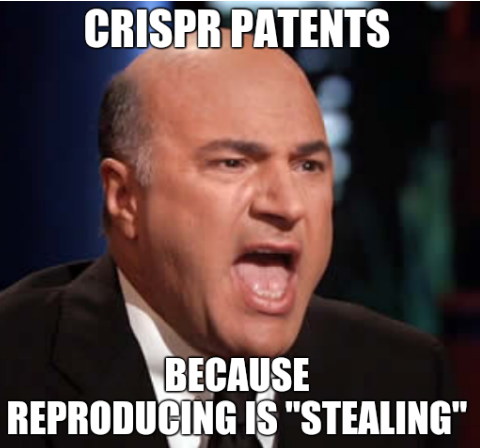 CRISPR patents; Because reproducing is 'stealing'