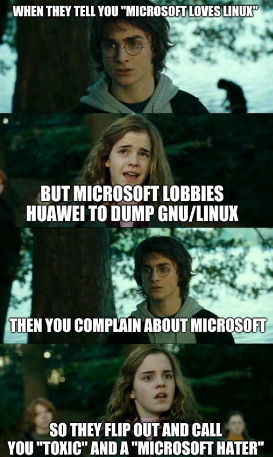 Microsoft hater