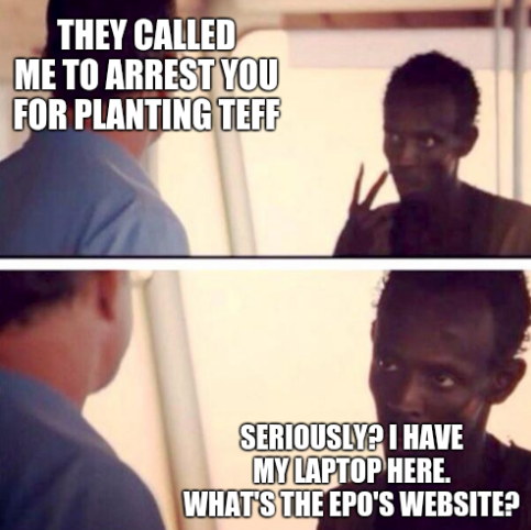 They called me to arrest you for planting teff... Seriously? I have my laptop here. What's the EPO's Website?