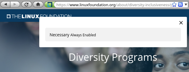 Linux Foundation diversity programs