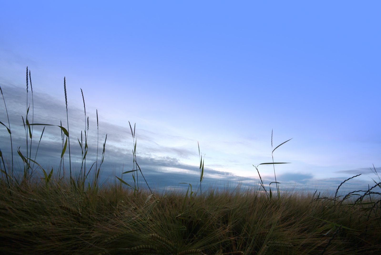 Clean Sky with upcoming Clouds above Field