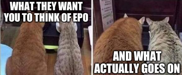 Fat cats: What they want you to think of EPO and what actually goes on