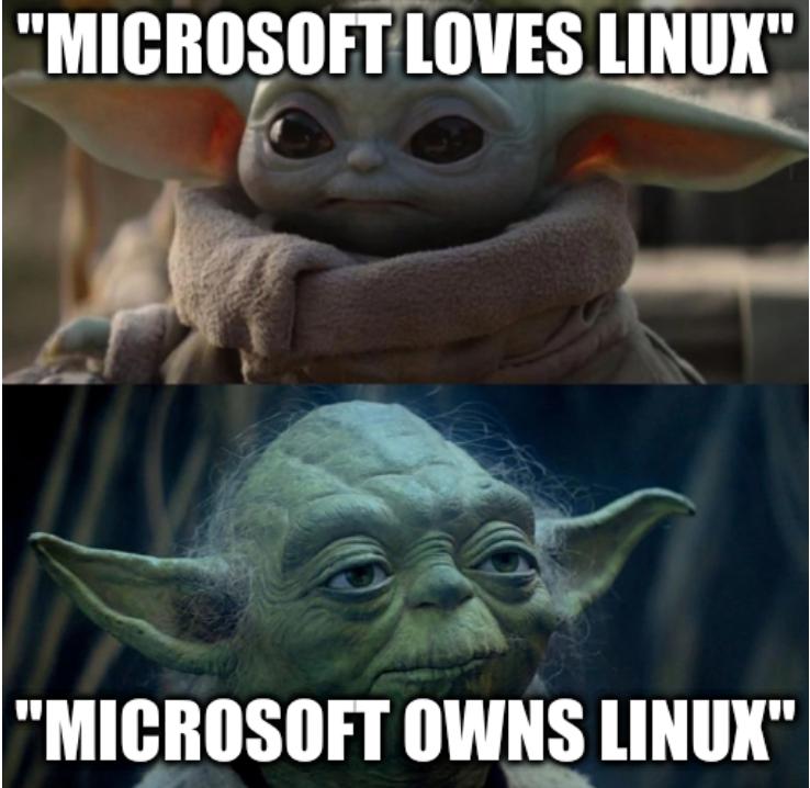 'Microsoft loves Linux', 'Microsoft owns Linux'
