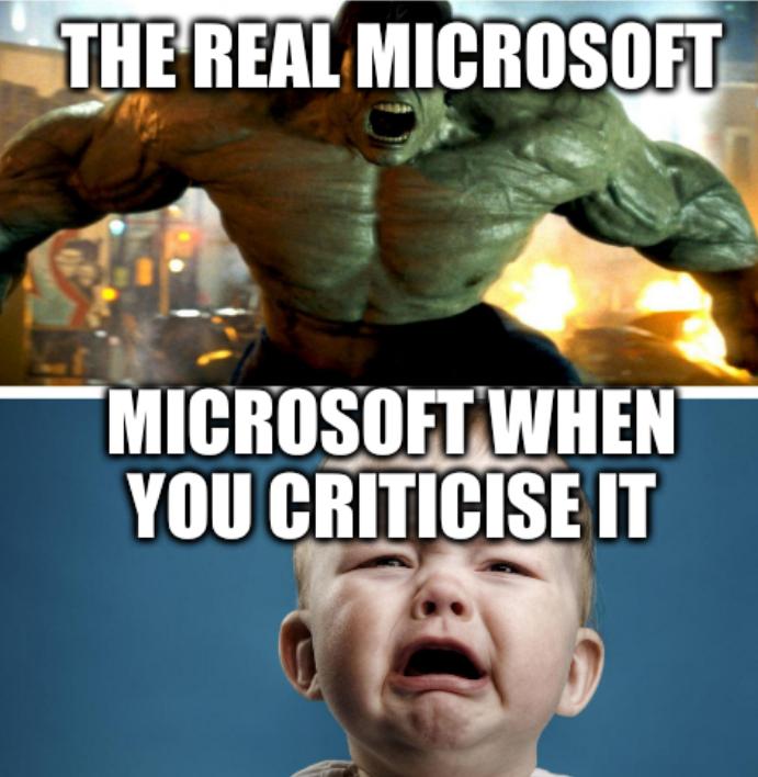 The real Microsoft; Microsoft when you criticise it