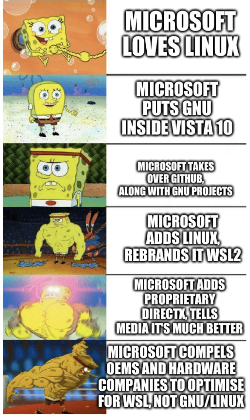 Buff Spongebob: Microsoft loves Linux, Microsoft puts GNU inside Vista 10, Microsoft takes over Github, along with GNU projects, Microsoft adds Linux, rebrands it WSL2, Microsoft adds proprietary DirectX, tells media it's much better, Microsoft compels OEMs and hardware companies to optimise for WSL, not GNU/Linux