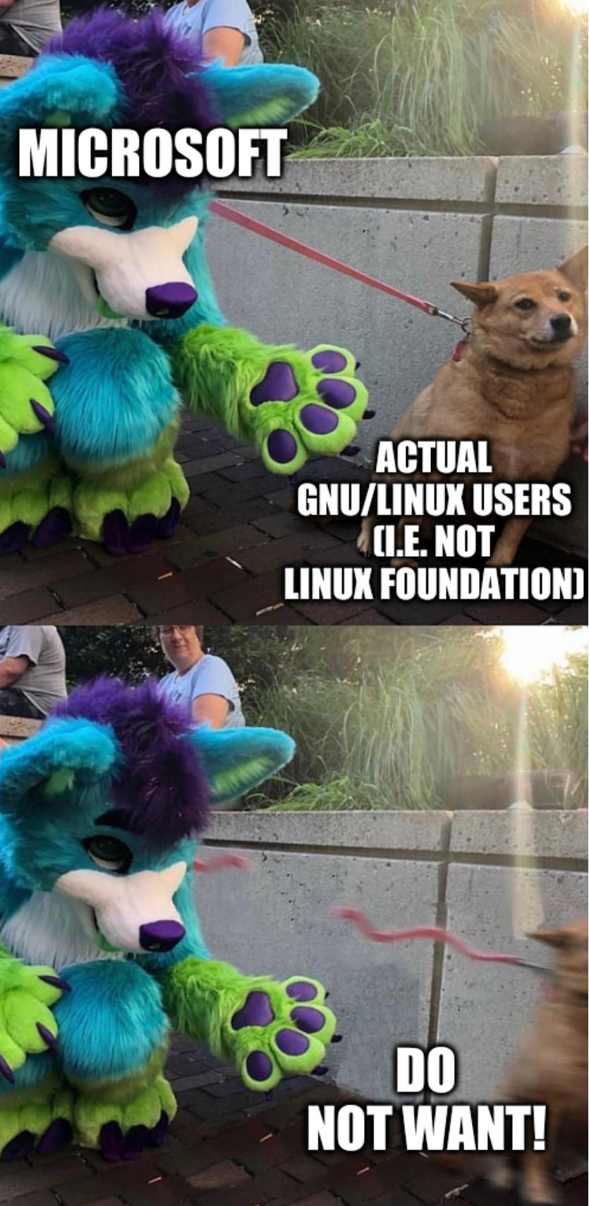Furry scares: Microsoft; Actual GNU/Linux users (i.e. Not Linux Foundation); Do not want!